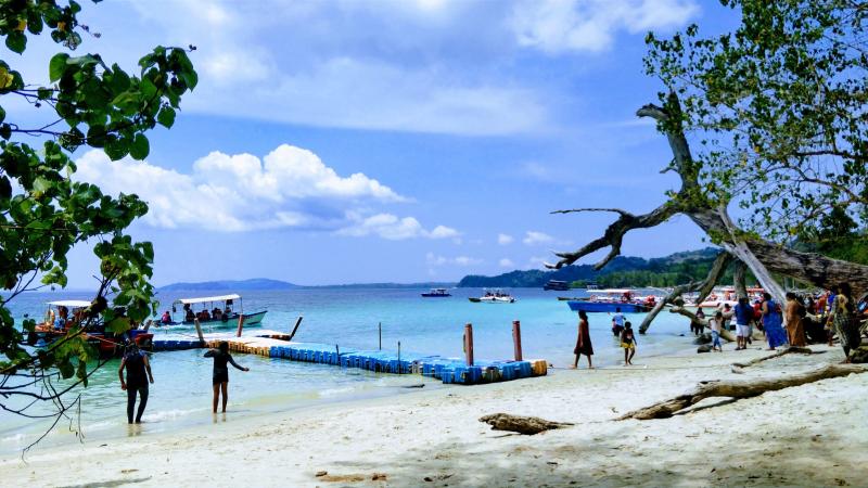 Elephant Beach